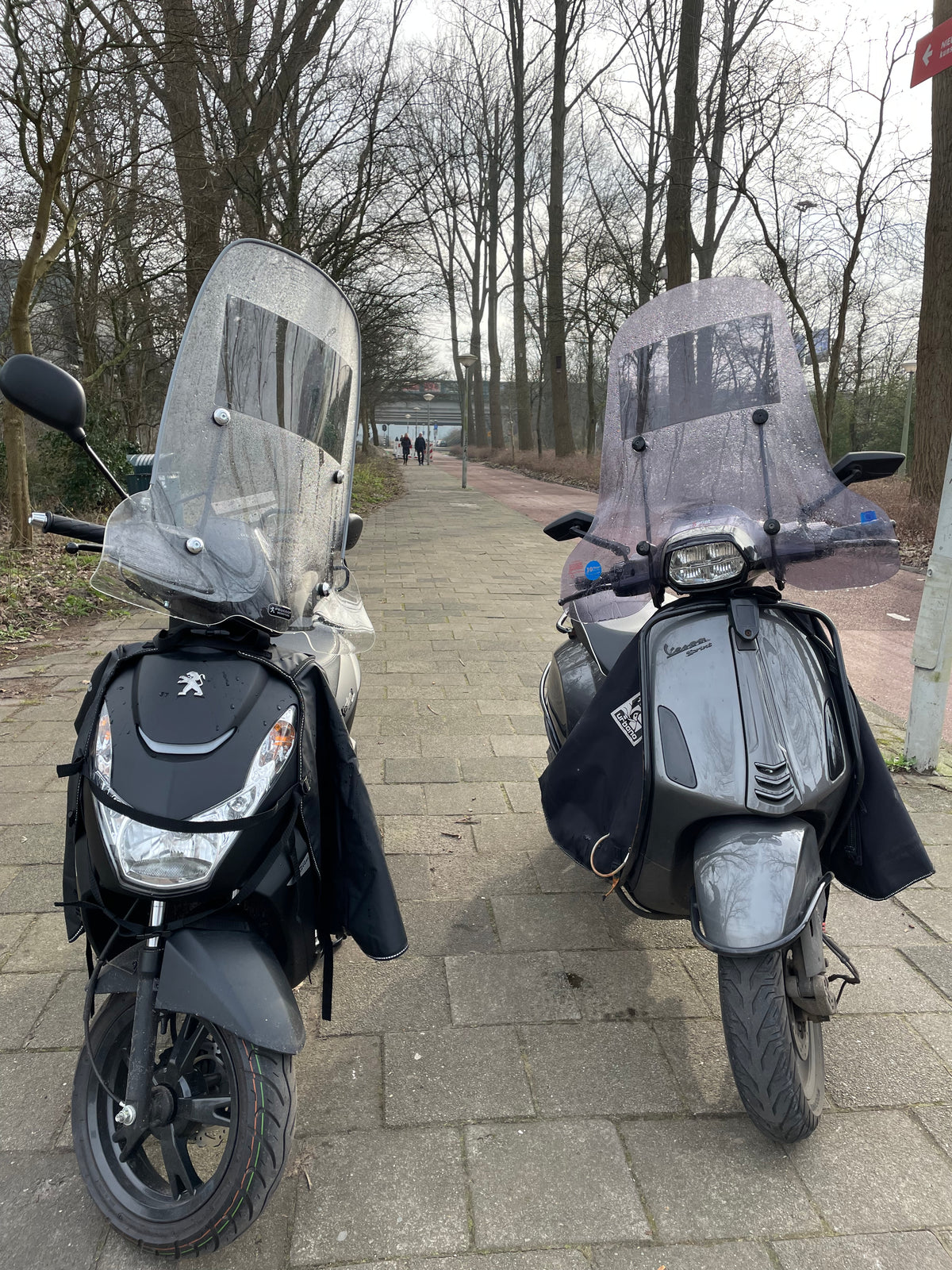 Nano Shield + Visor Shield CombiDeal